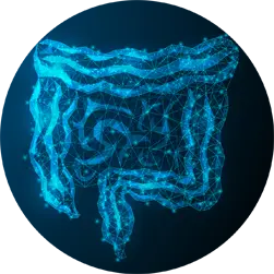 국민건강검진 대장내시경