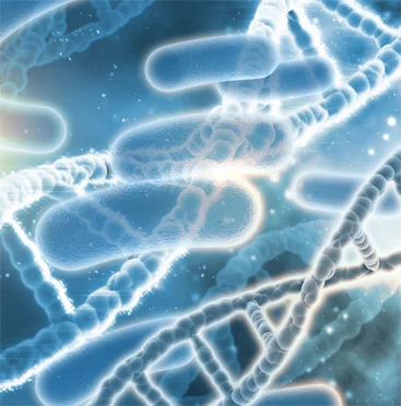 상호 견제 시스템 복구